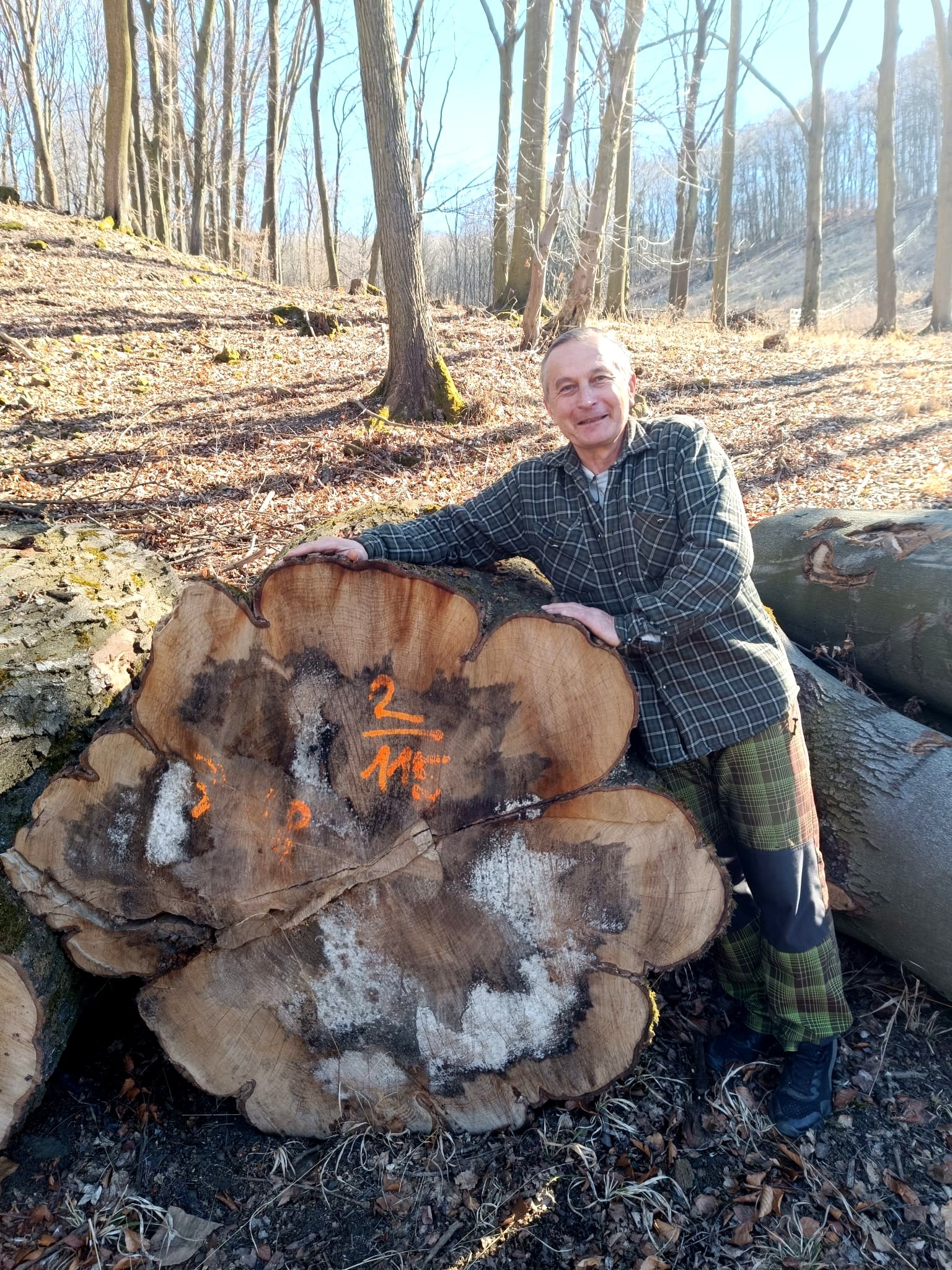 dřevo do pryskyřice